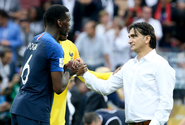 证明了自己 证明了自己